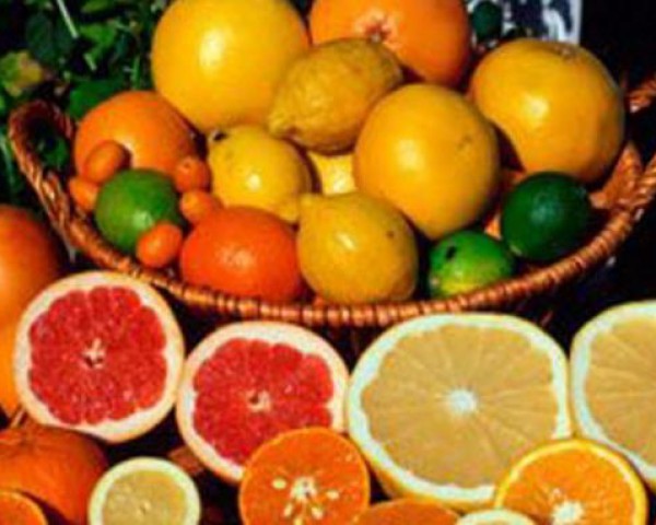 buah-jeruk-dan-citrus-lainnya